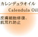 �J�����f����