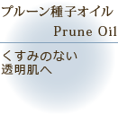 �v���[��