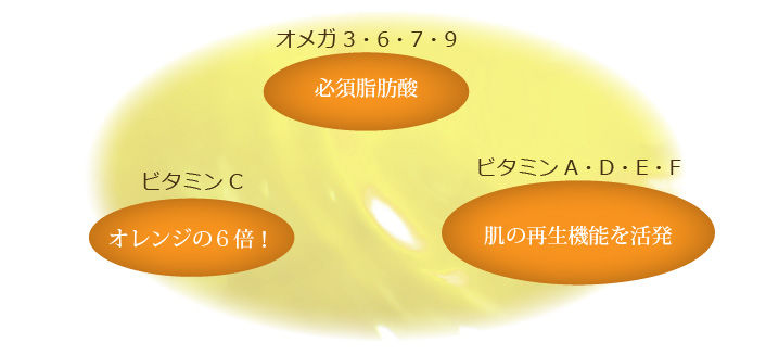 �K�{���b�_�I���K3�E6�E7�E9�^�I�����W�̂U�{�I�r�^�~��C�^���̍Đ��@�\�������r�^�~��A�ED�EE�EF