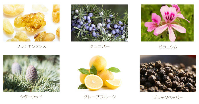 �t�����L���Z���X�^�W���j�p�[�^�[���j�E���^�V�_�[�E�b�h�^�O���[�v�t���[�c�^�u���b�N�y�b�p�[