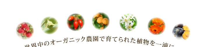 ���E���̃I�[�K�j�b�N�_���ň�Ă�ꂽ�A������H��