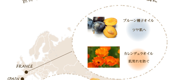 �J�����f�����I�C���^�v���[����q�I�C��