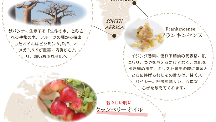 �N�����x���[�I�C���^�t�����L���Z���X