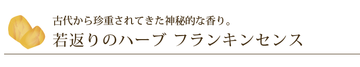 �Ñォ�璿�d����Ă����_��I�ȍ���B��Ԃ�̃n�[�u �t�����L���Z���X