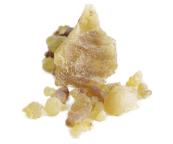 �t�����L���Z���X