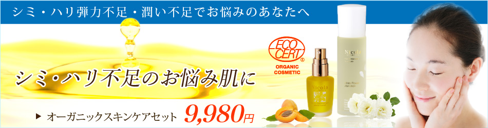 ���Ƀ_�C���N�g�ɓ͂��I�[�K�j�b�N�X�L���P�A�Z�b�g