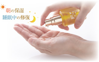 ���̕ێ��E�������̕�C