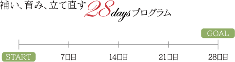 �₢�A��݁A���Ē���28DAYS�v���O����