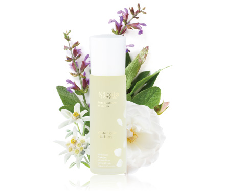 �z���C�g�t�����[V���[�V����